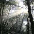 高台山古道