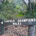 Grampians