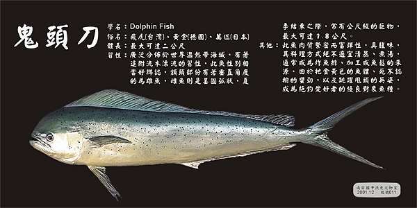 黎樵 最相愛的魚 鬼頭刀 神仙 老虎 狗 痞客邦