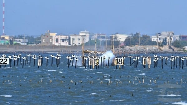 記者 王烱華：空軍在水溪靶場花19年建一棟樓　四大疏失連環爆