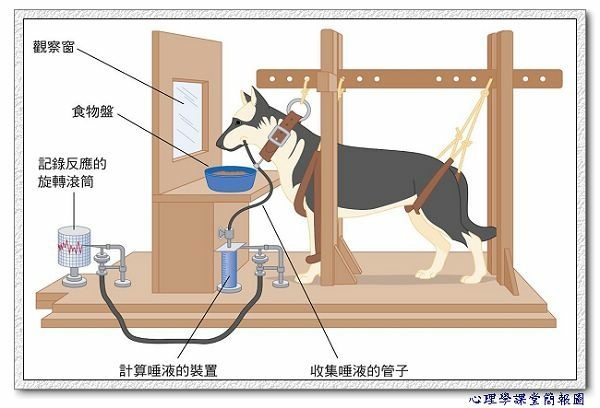 陳立文／心理學筆記 : 意識 行為 制約 非制約...