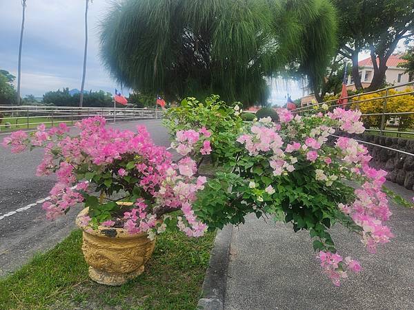 我「自費」進駐「台東馬蘭榮家」單人房「安養」晚年