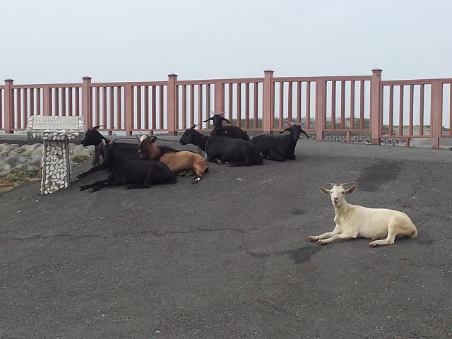 鹿耳門-府城天險-9