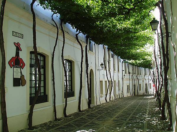 beautiful-streets-trellis-canopies-1__700