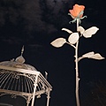 P1000832.JPG