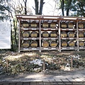 P1010026.JPG