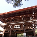 P1010045.JPG