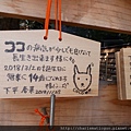 P1010055.JPG