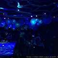 IMG_6155.JPG