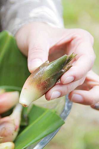 好像日本鄉間的奮起湖 阿嬌生活廚房lifekitchen的部落格 痞客邦