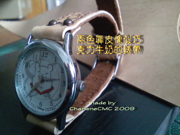 14_ watch belt