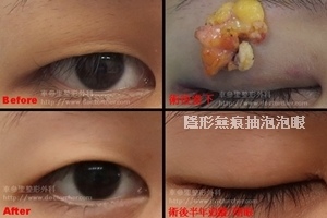 cats-tile.jpg cats-tile.jpg