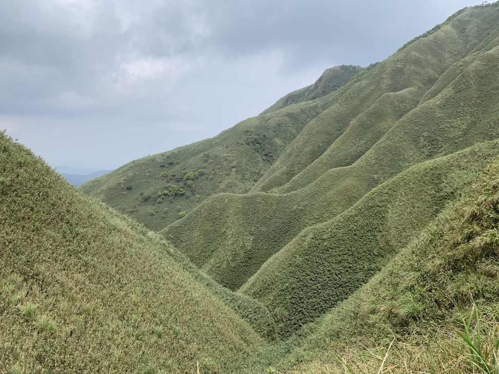 IMG_9850.jpg IMG_9850.jpg