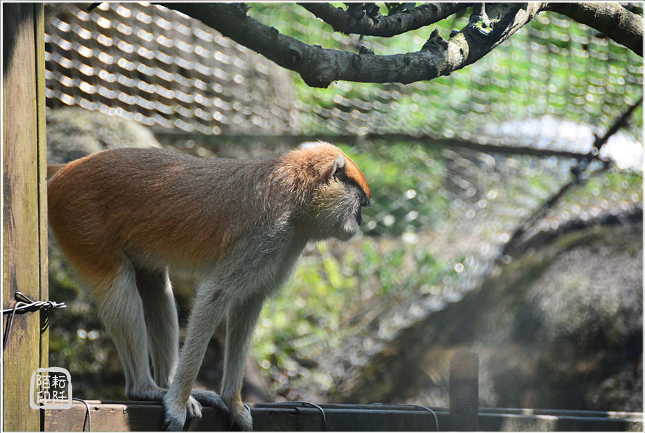 2014動物園1.jpg