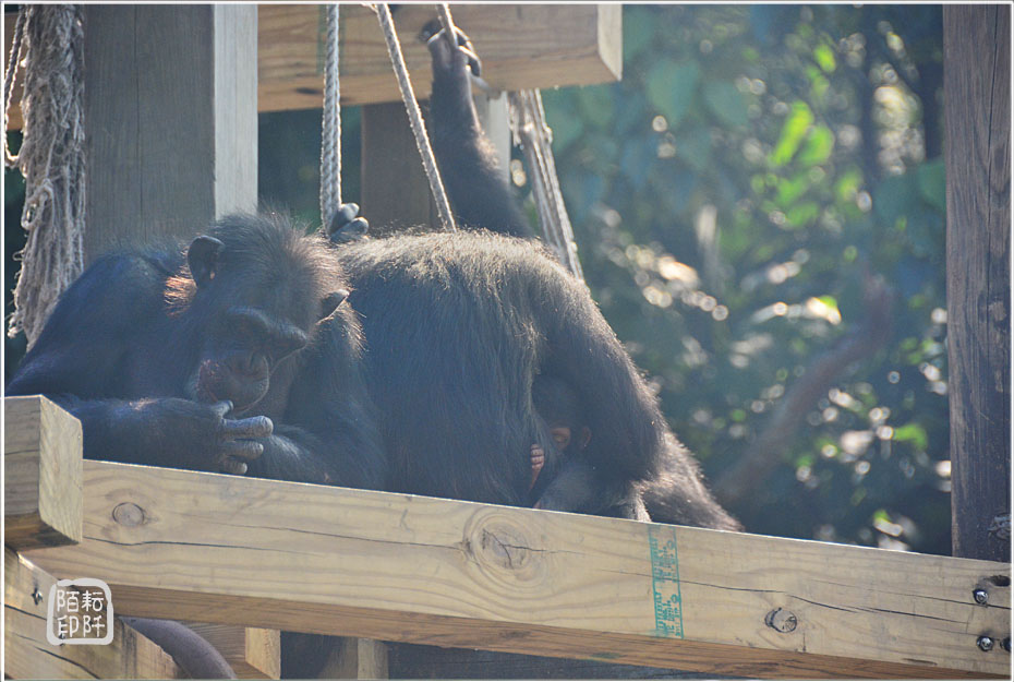 2014動物園5.jpg