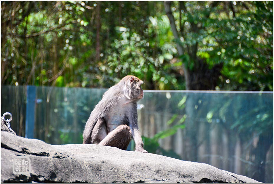 2014動物園10.jpg