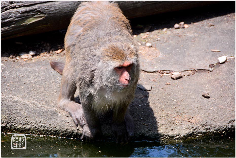 2014動物園13.jpg