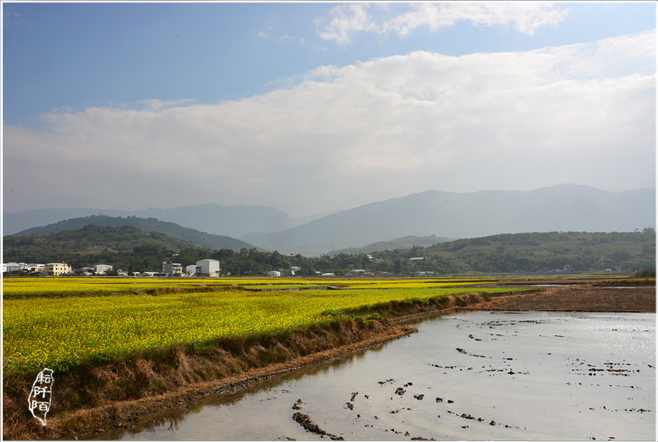 大坡池&福德宮5.jpg