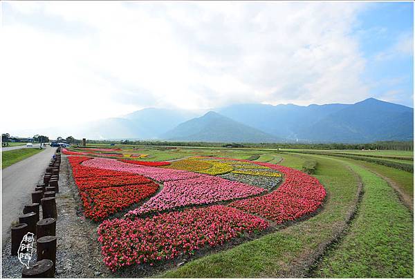 大農大富森林園區8.jpg