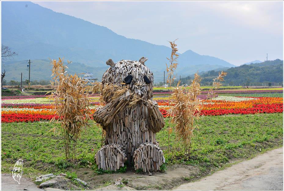 花蓮富里1.jpg