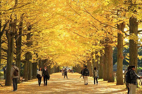關東紅葉名所十選 遊日倶樂部 痞客邦 關東紅葉名所十選 遊日倶樂部 痞客邦