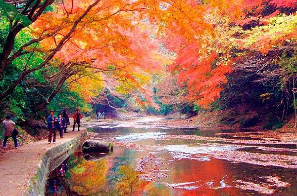 關東紅葉名所十選 遊日倶樂部 痞客邦