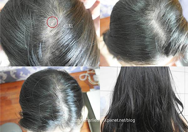 20180723-6.jpg 20180723-6.jpg