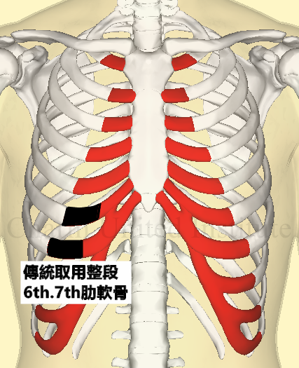 肋軟骨1-5_副本.png