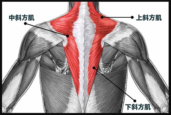 未命名3.jpg