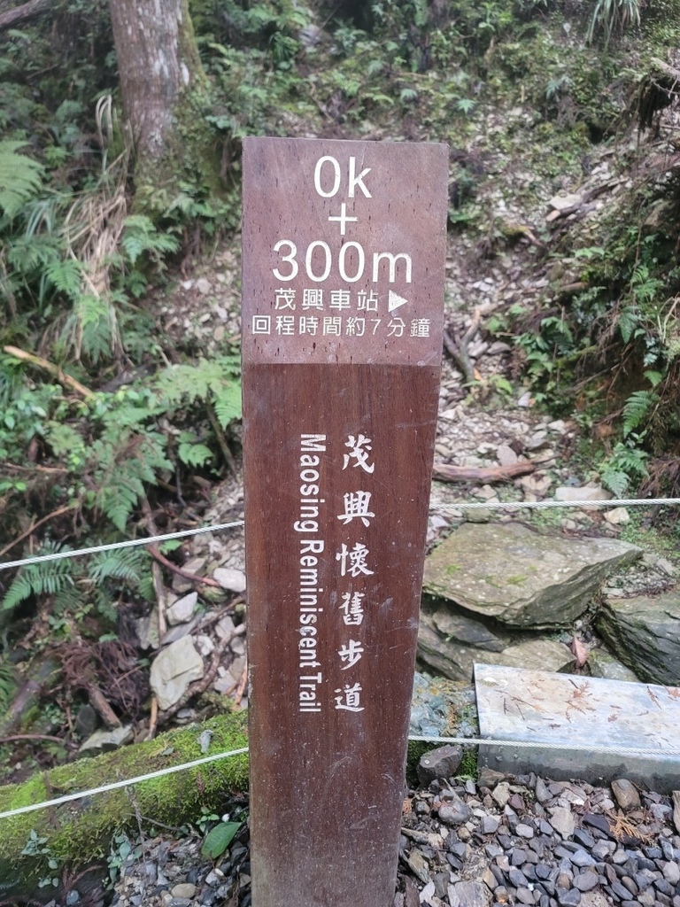 太平山_220113_108.jpg