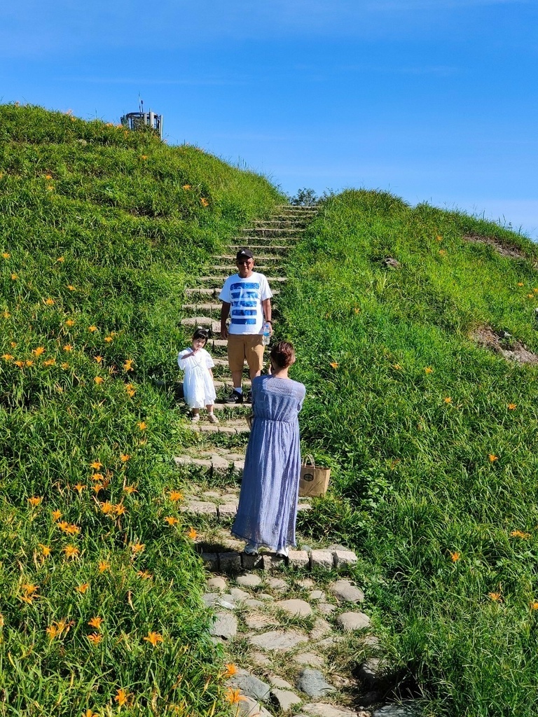 【國內∣旅遊】2022花蓮金針花海♥六十石山今年缺水，花苞不