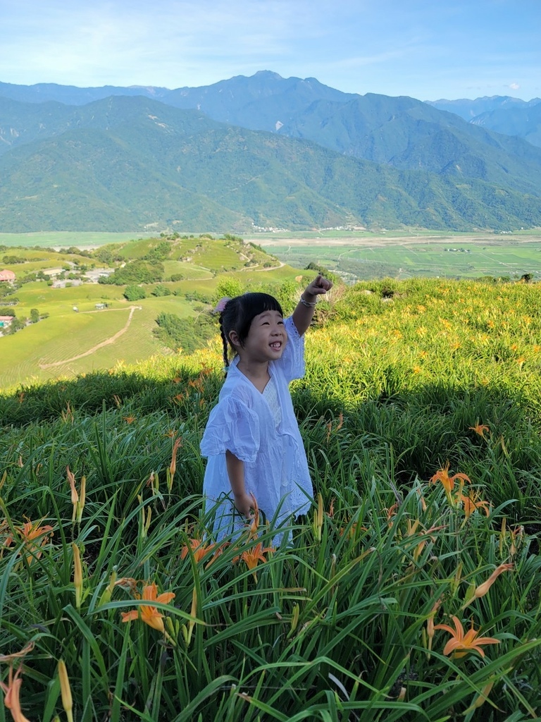 【國內∣旅遊】2022花蓮金針花海♥六十石山今年缺水，花苞不