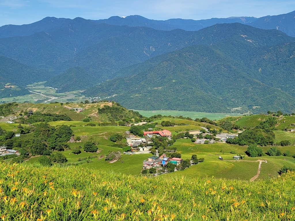 【國內∣旅遊】2022花蓮金針花海♥六十石山今年缺水，花苞不