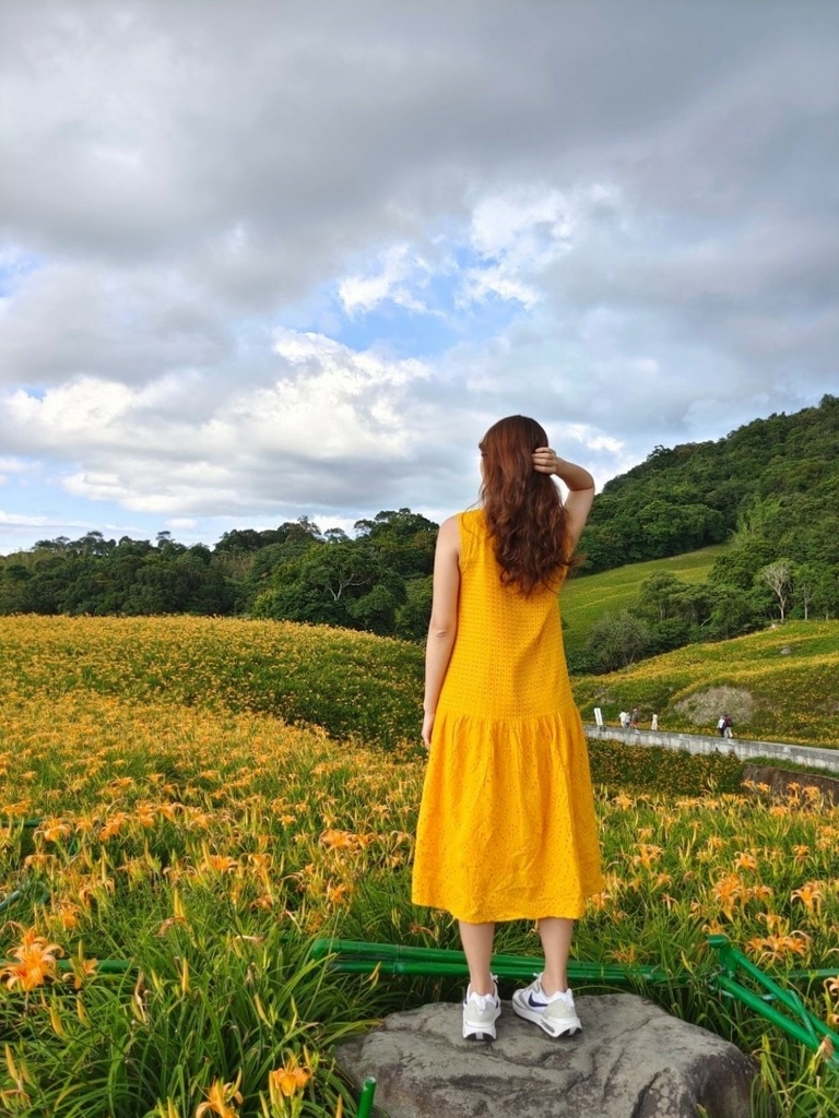 【國內∣旅遊】2022花蓮金針花海♥六十石山今年缺水，花苞不