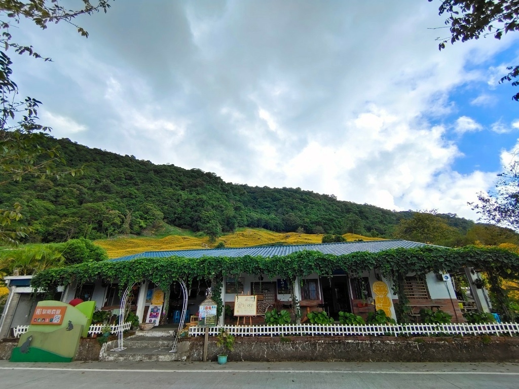 【國內∣旅遊】2022花蓮金針花海♥六十石山今年缺水，花苞不