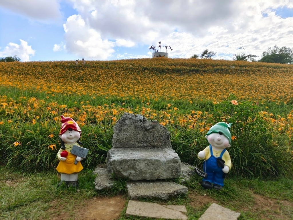 【國內∣旅遊】2022花蓮金針花海♥六十石山今年缺水，花苞不