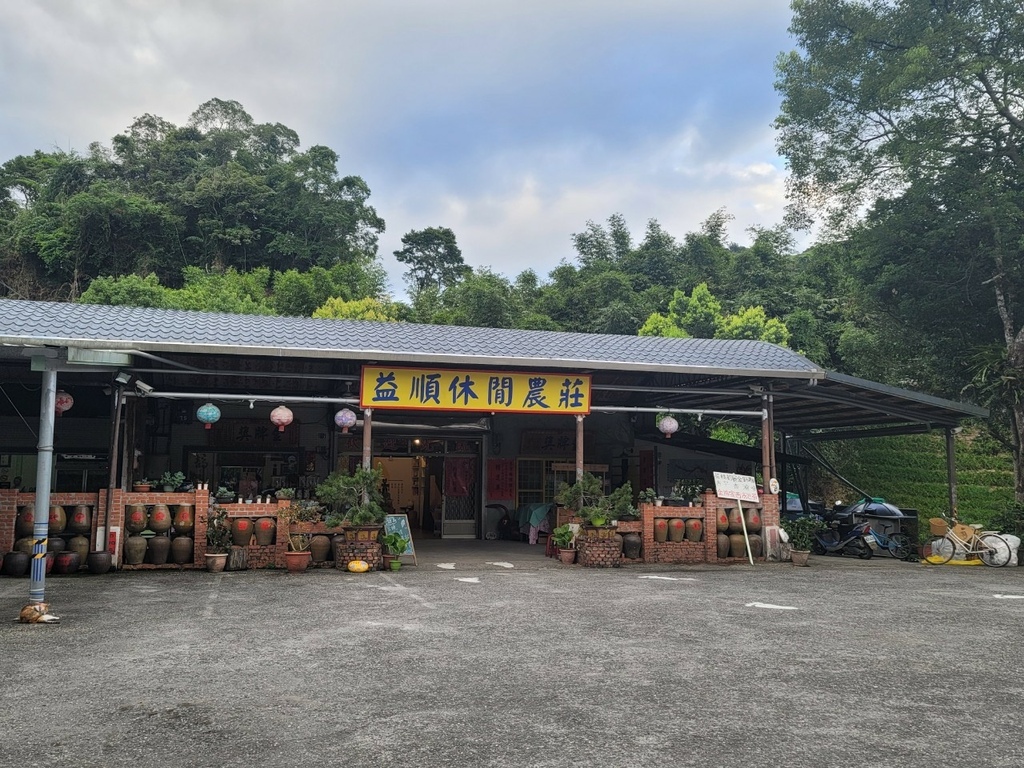 【國內∣旅遊】2022花蓮金針花海♥六十石山今年缺水，花苞不