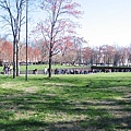 DC cherry blossoms trip 115.jpg