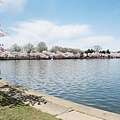 DC cherry blossoms trip 147.jpg