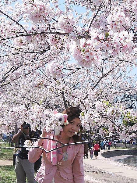 DC cherry blossoms trip 173.jpg