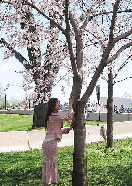 DC cherry blossoms trip 186.jpg