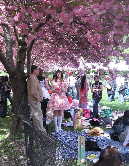 Sakura Matsuri 021.jpg