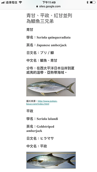 18年日誌130 在果菜批發市場當翻譯 1 買魚是一門大學問 黑糖貓天涯行腳 Blacksugarcat Se Ve En Todo El Mundo 痞客邦