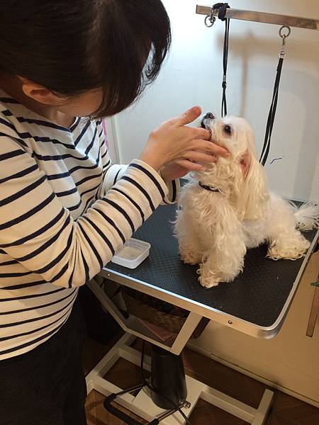 ---- 033.JPG ---- 033.JPG