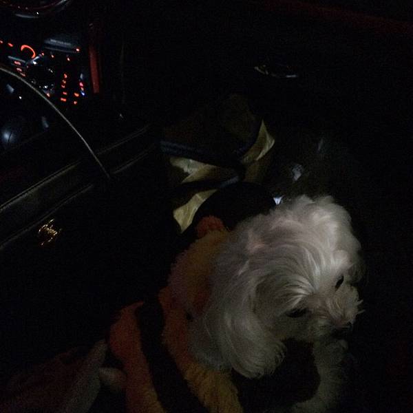 ---- 058.JPG ---- 058.JPG