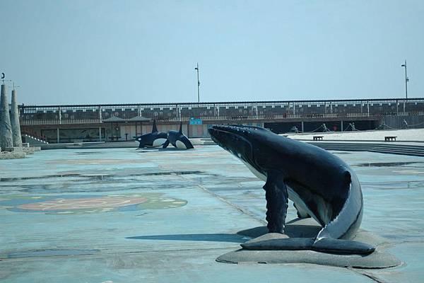 東石漁人碼頭5