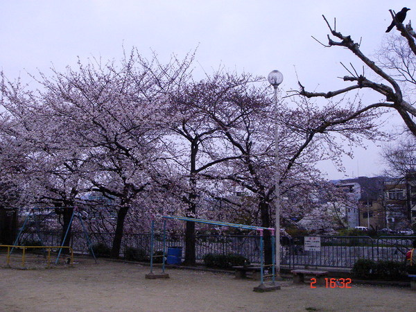 先斗町通裡的小公園