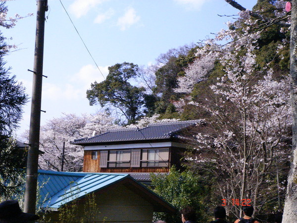 所以不像接近銀閣寺的那一段遊人和店家都多, 這一帶比較舒服