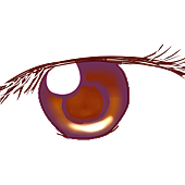 eye