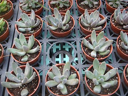 DSC02687.JPG DSC02687.JPG